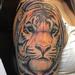 Tattoos - Tiger - 67814